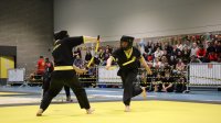 IMG_3385.JPG